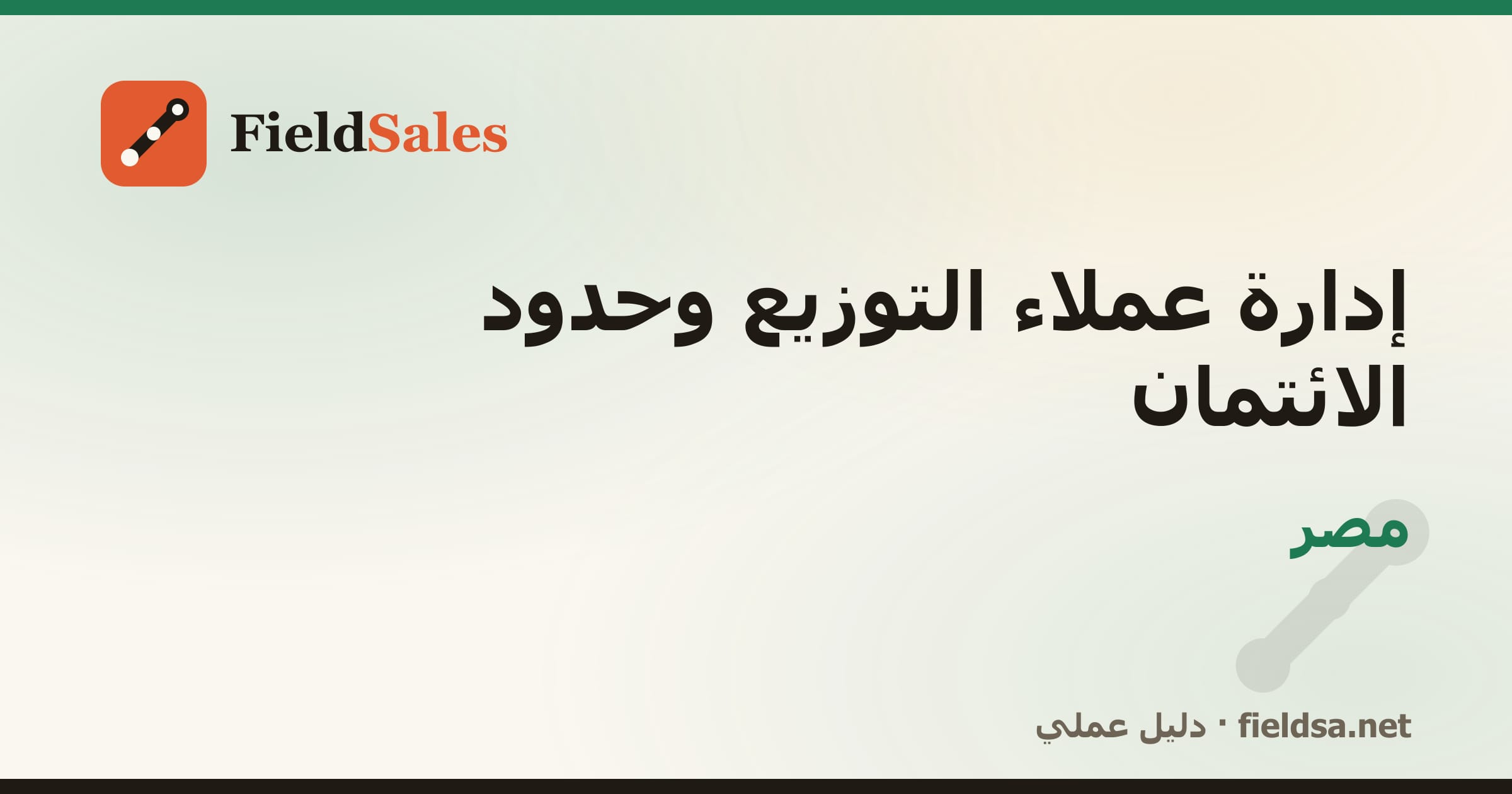 إدارة عملاء التوزيع وحدود الائتمان في مصر