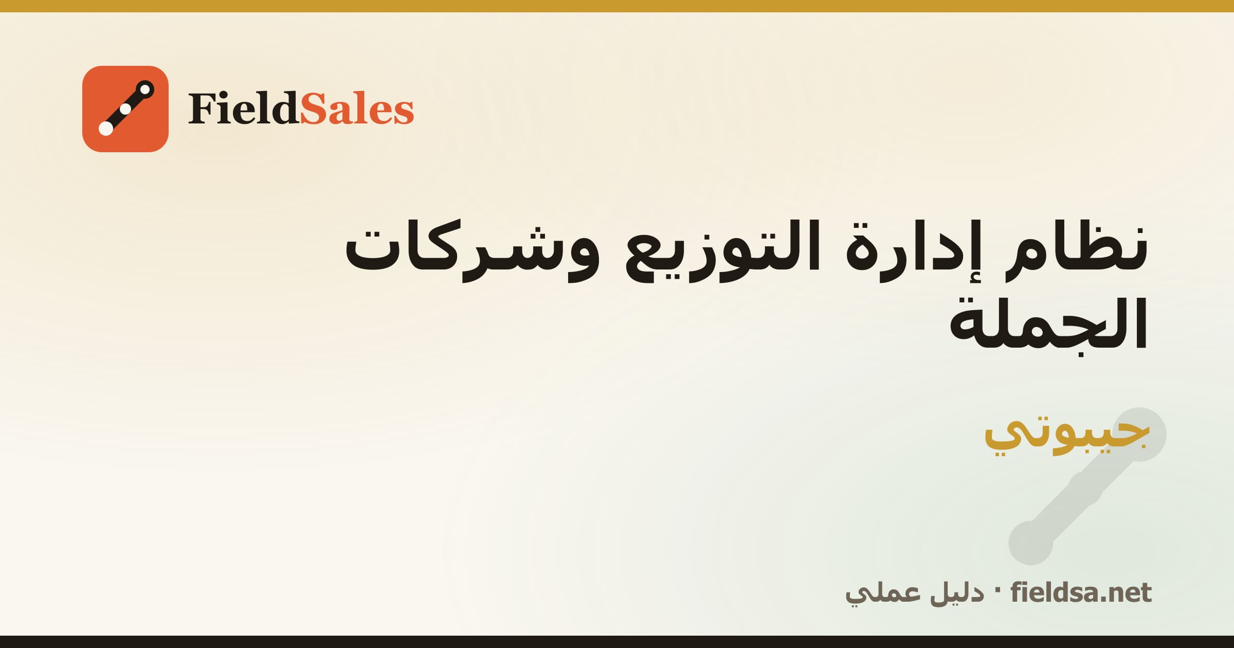 نظام إدارة الموزعين وشركات التوزيع والجملة DMS في جيبوتي