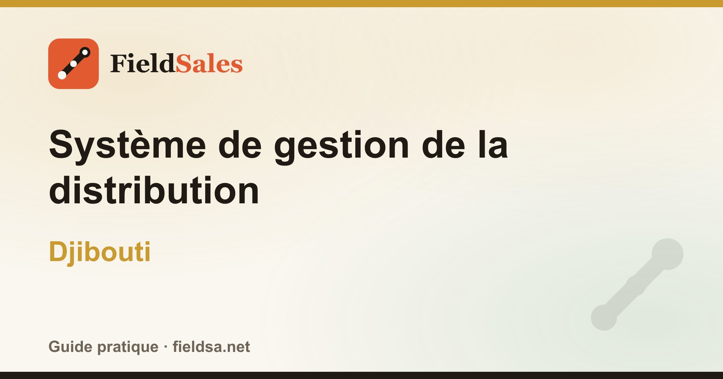 Logiciel de gestion de la distribution et des distributeurs (DMS) à Djibouti