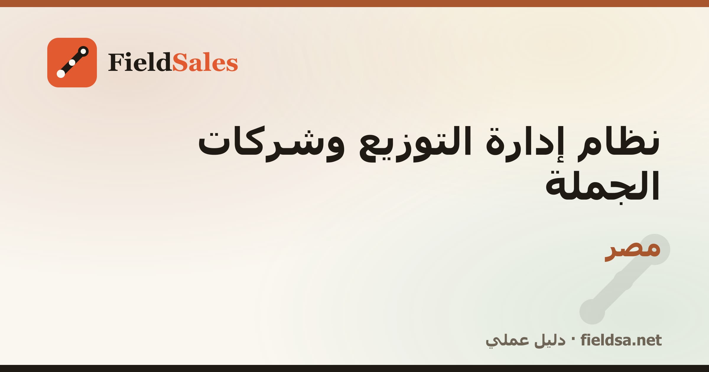 نظام إدارة الموزّعين وشركات التوزيع والجملة (DMS) في مصر