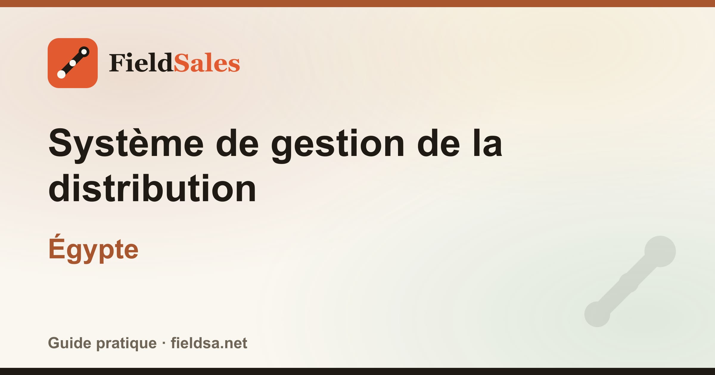 Logiciel de gestion de la distribution et des distributeurs (DMS) en Égypte
