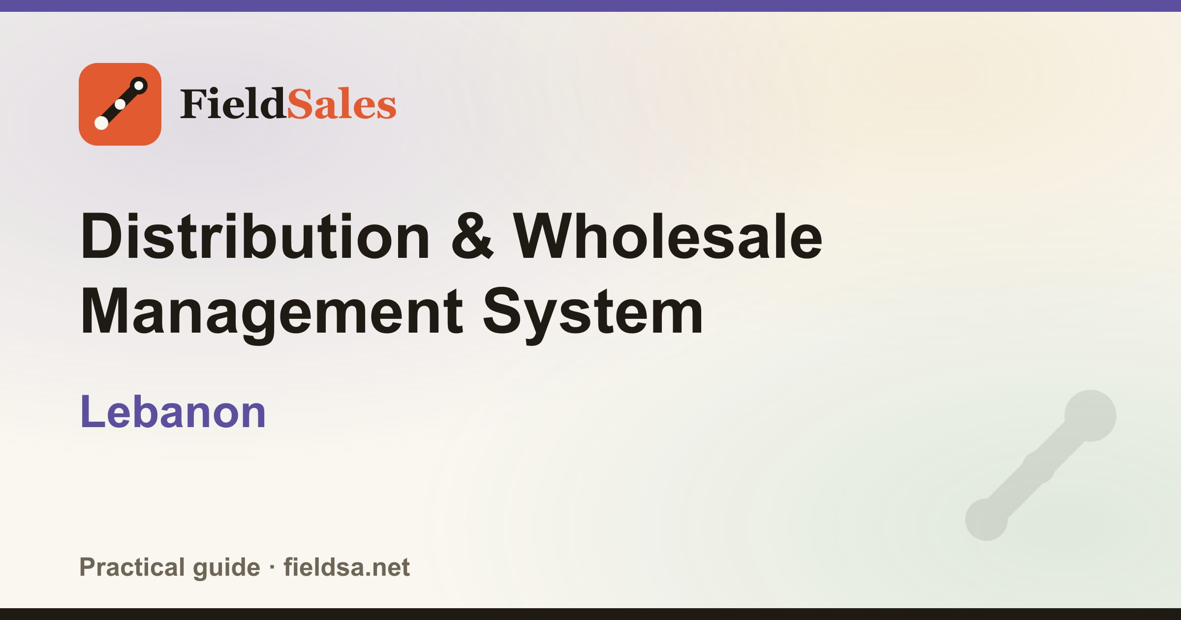 Distributor Management System (DMS) Software in Lebanon