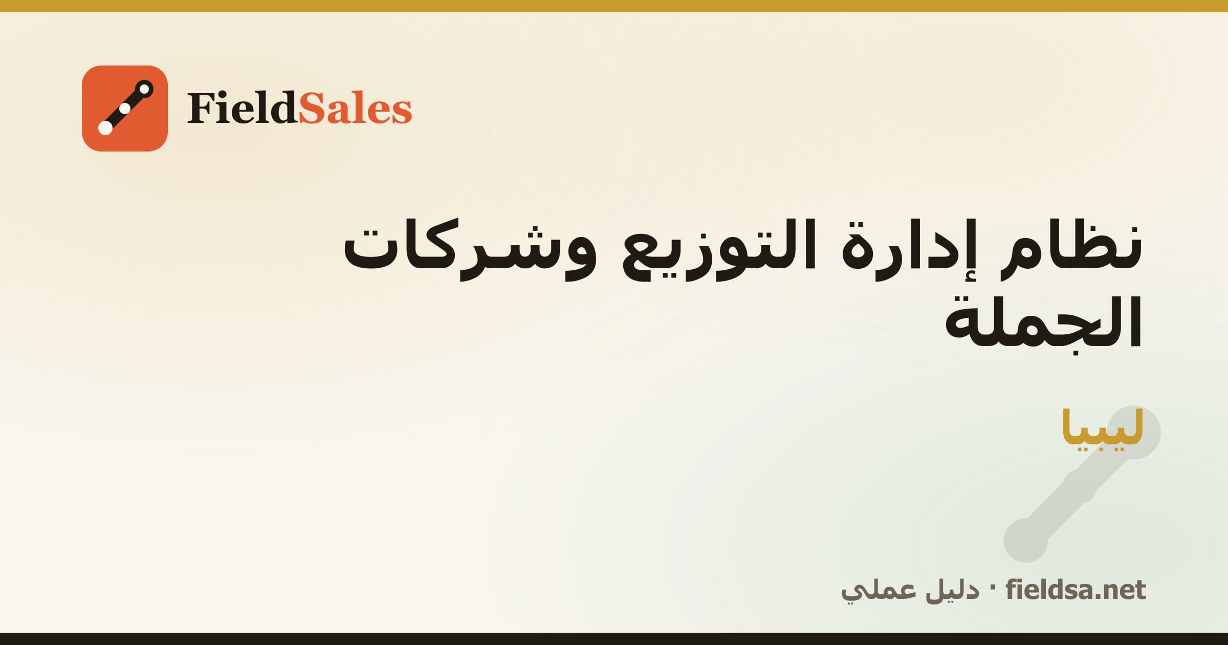 نظام إدارة الموزعين وشركات التوزيع والجملة DMS في ليبيا