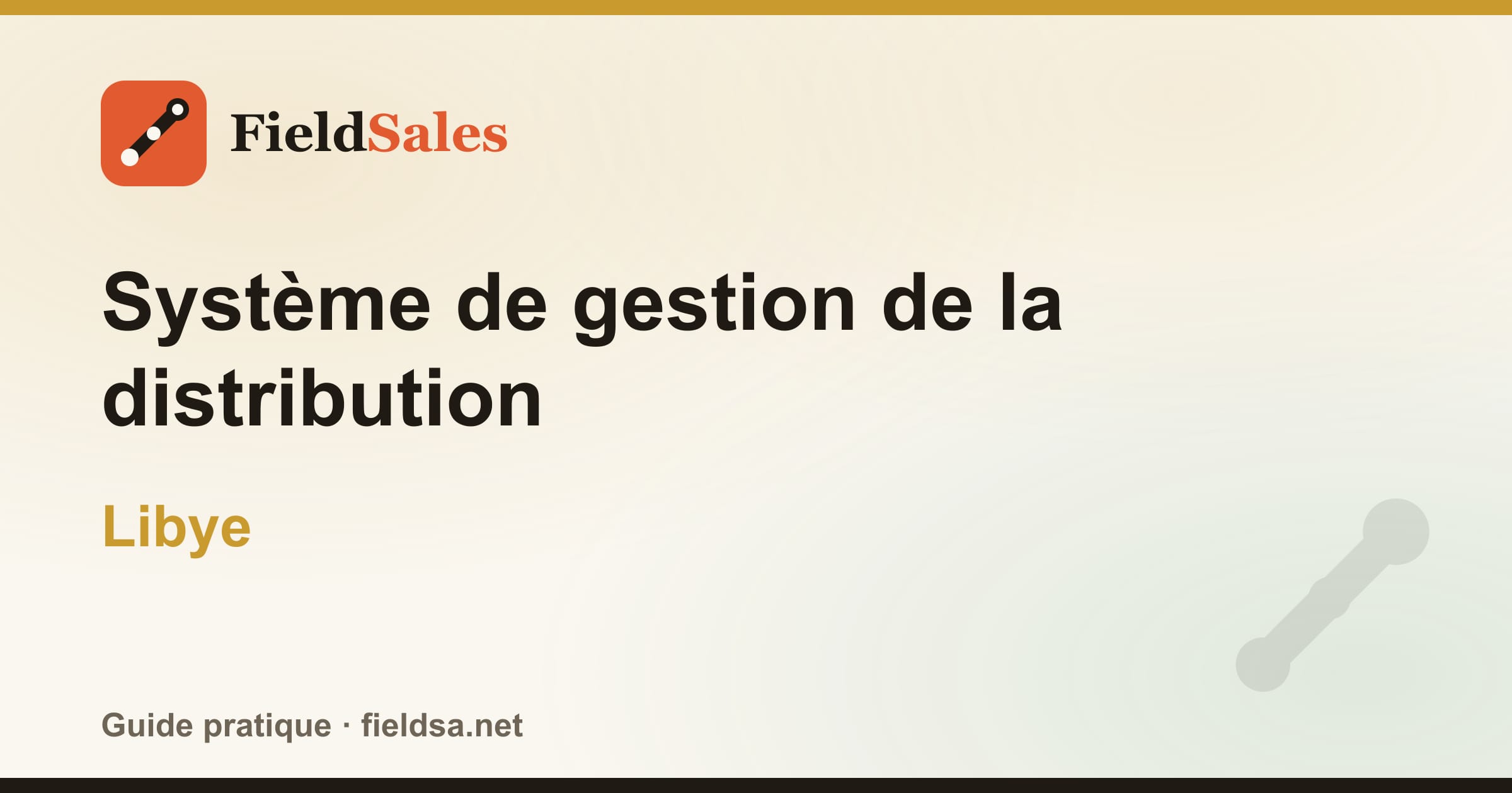 Logiciel de gestion de la distribution et des distributeurs (DMS) en Libye