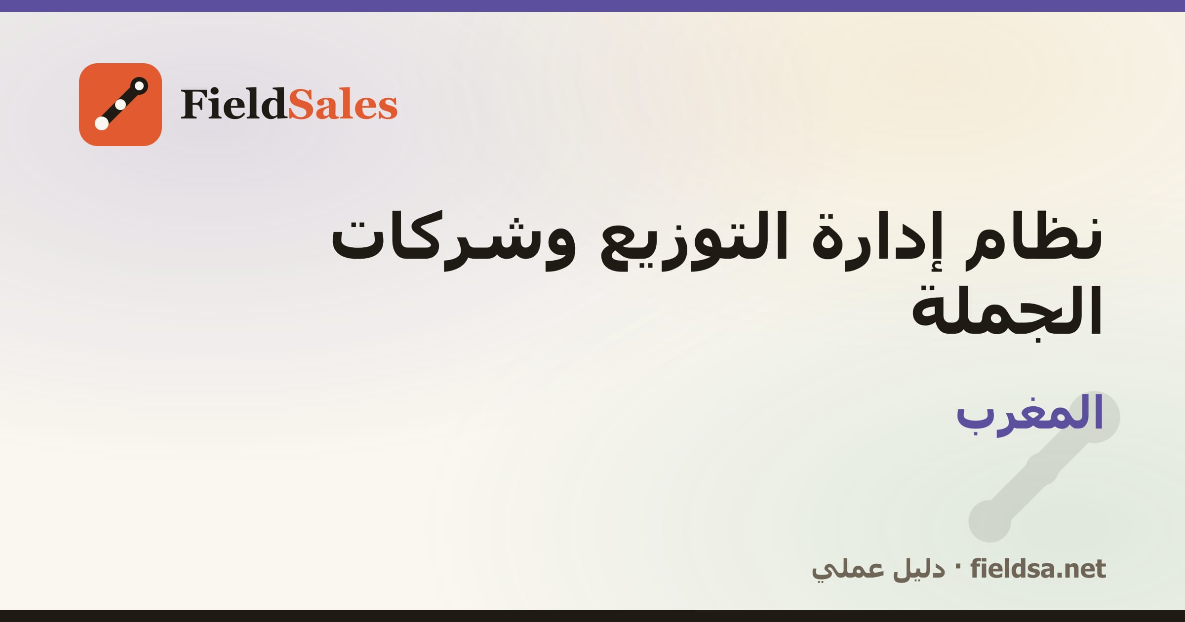 نظام إدارة الموزّعين وشركات التوزيع والجملة (DMS) في المغرب