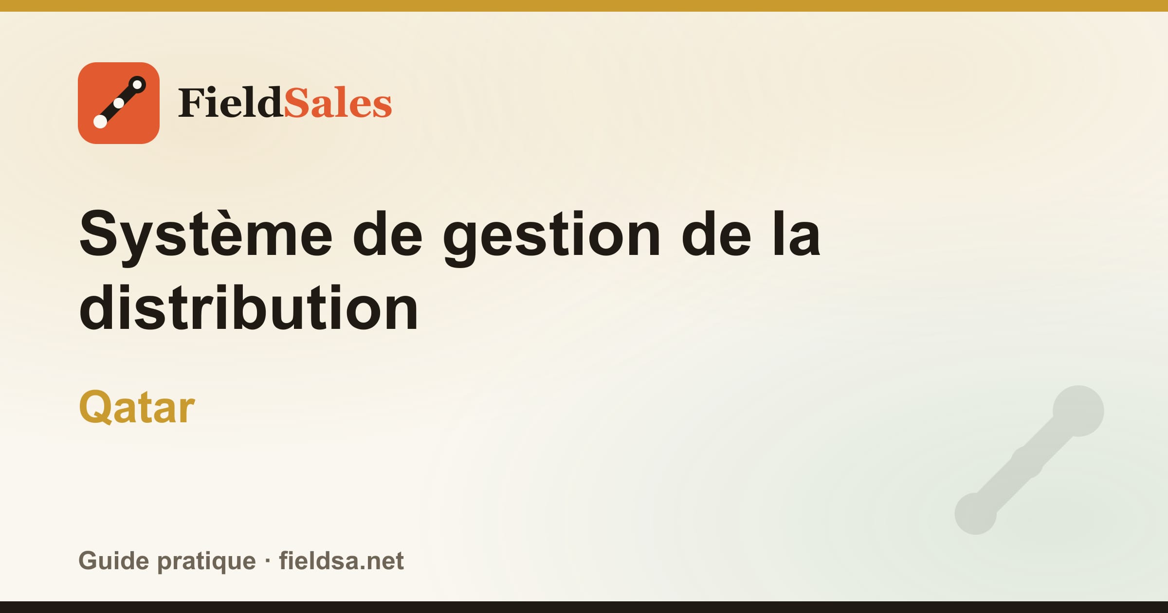 Logiciel de gestion de la distribution et des distributeurs (DMS) au Qatar