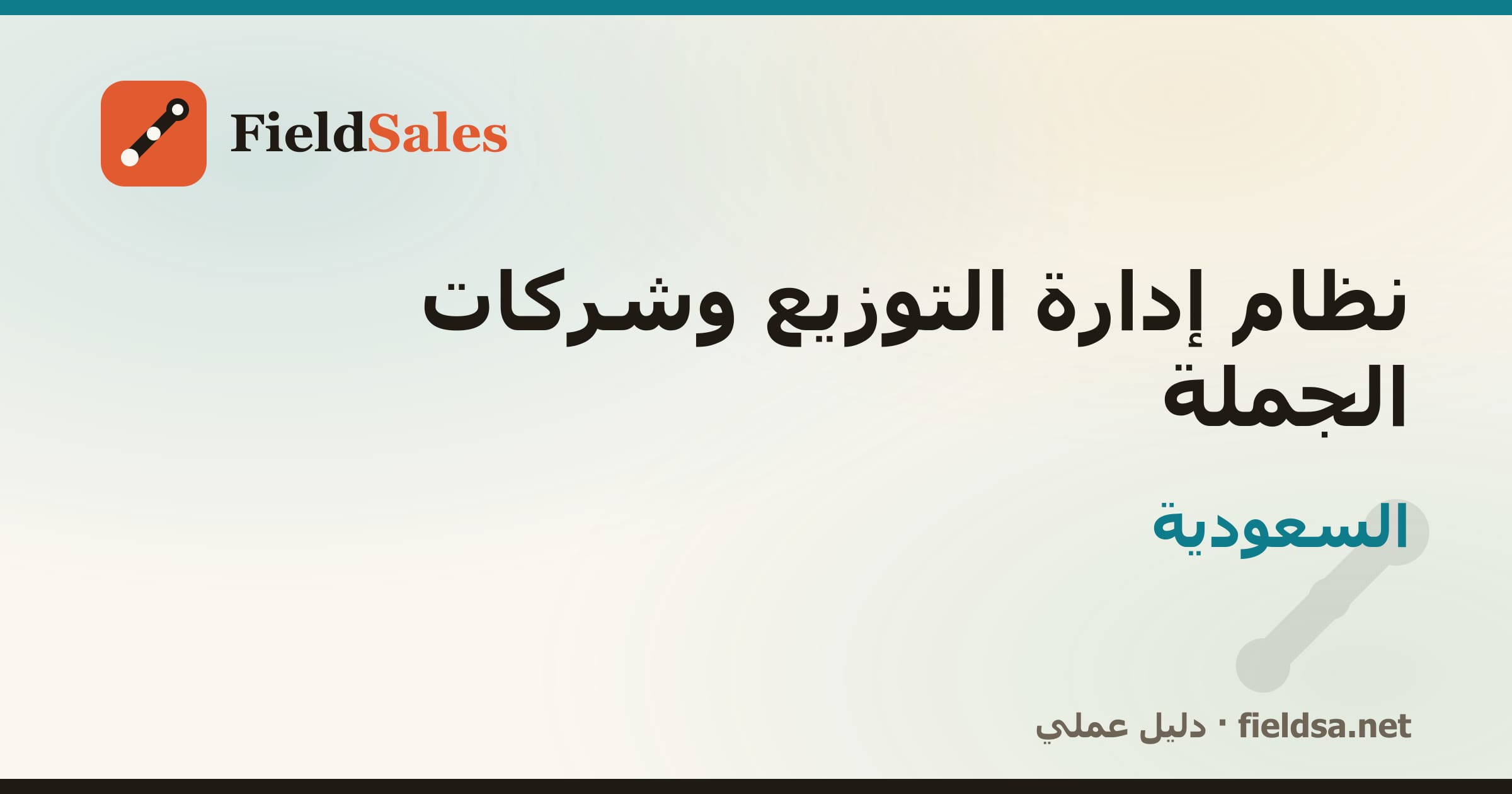 نظام إدارة الموزّعين وشركات التوزيع والجملة (DMS) في السعودية