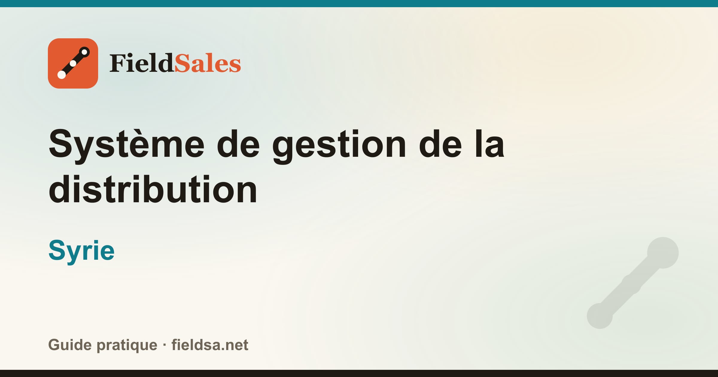 Logiciel de gestion de la distribution et des distributeurs (DMS) en Syrie