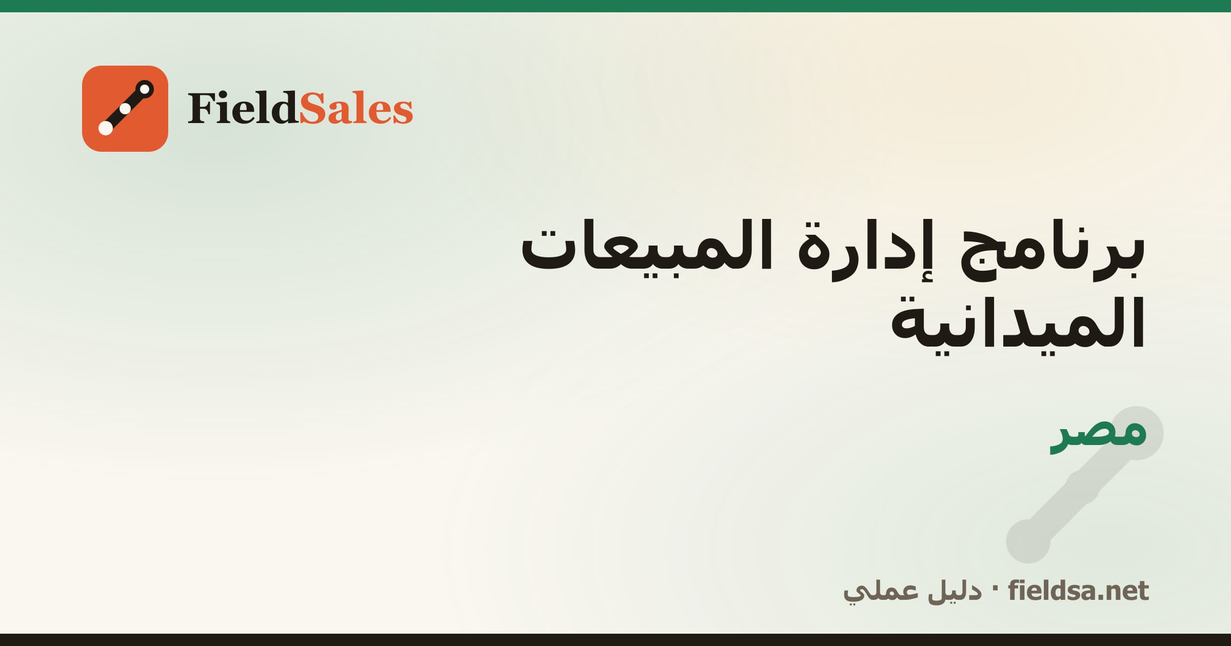 برنامج إدارة مناديب المبيعات الميدانية في مصر