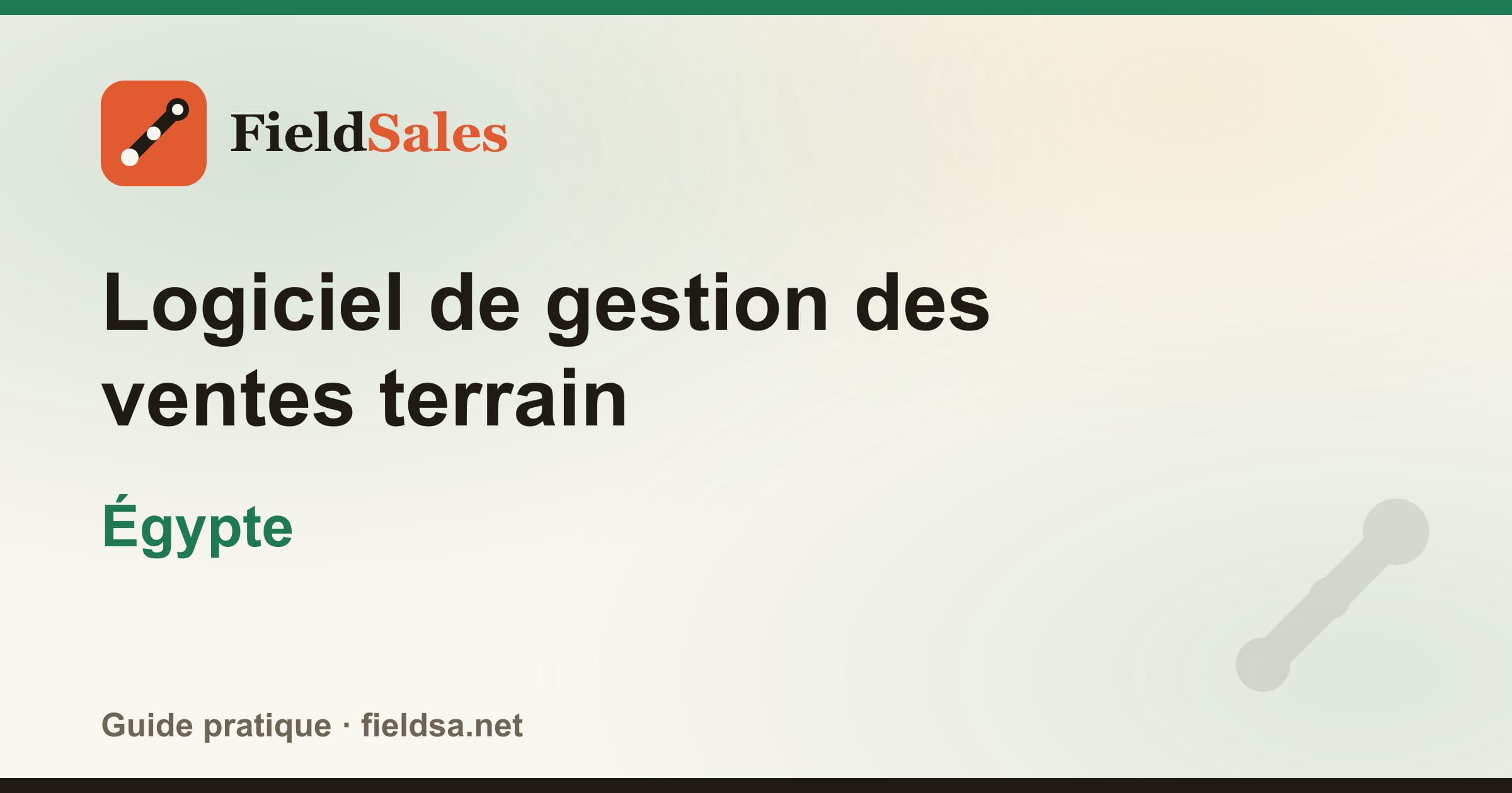 Logiciel de gestion des ventes terrain en Égypte
