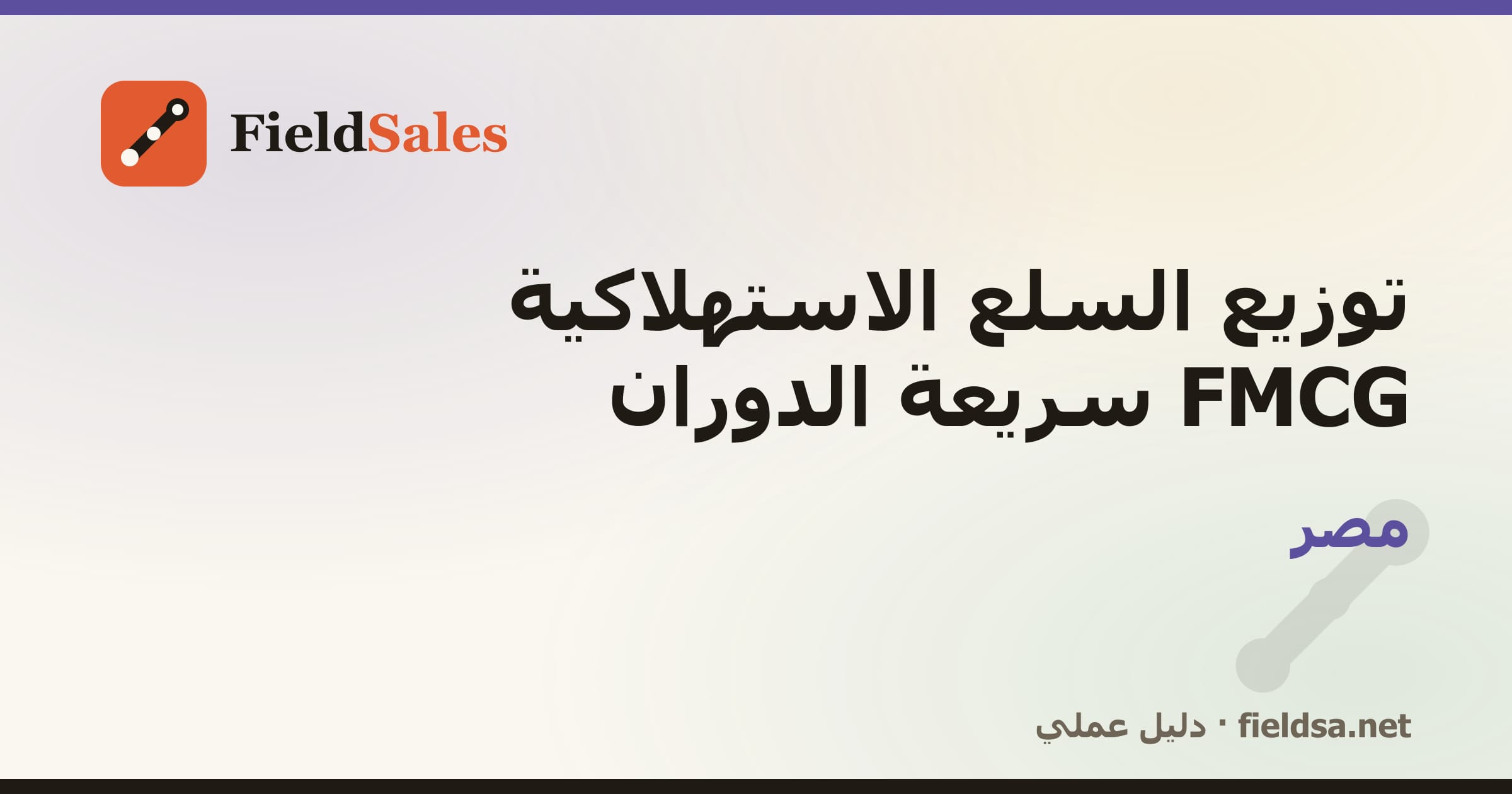 برنامج مناديب توزيع FMCG والمواد الغذائية في مصر