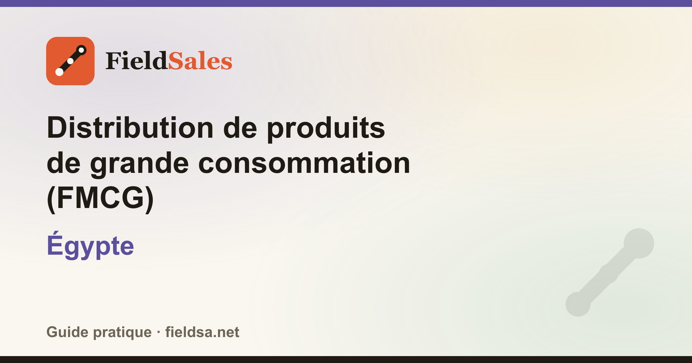 Distribution de produits de grande consommation (FMCG) en Égypte
