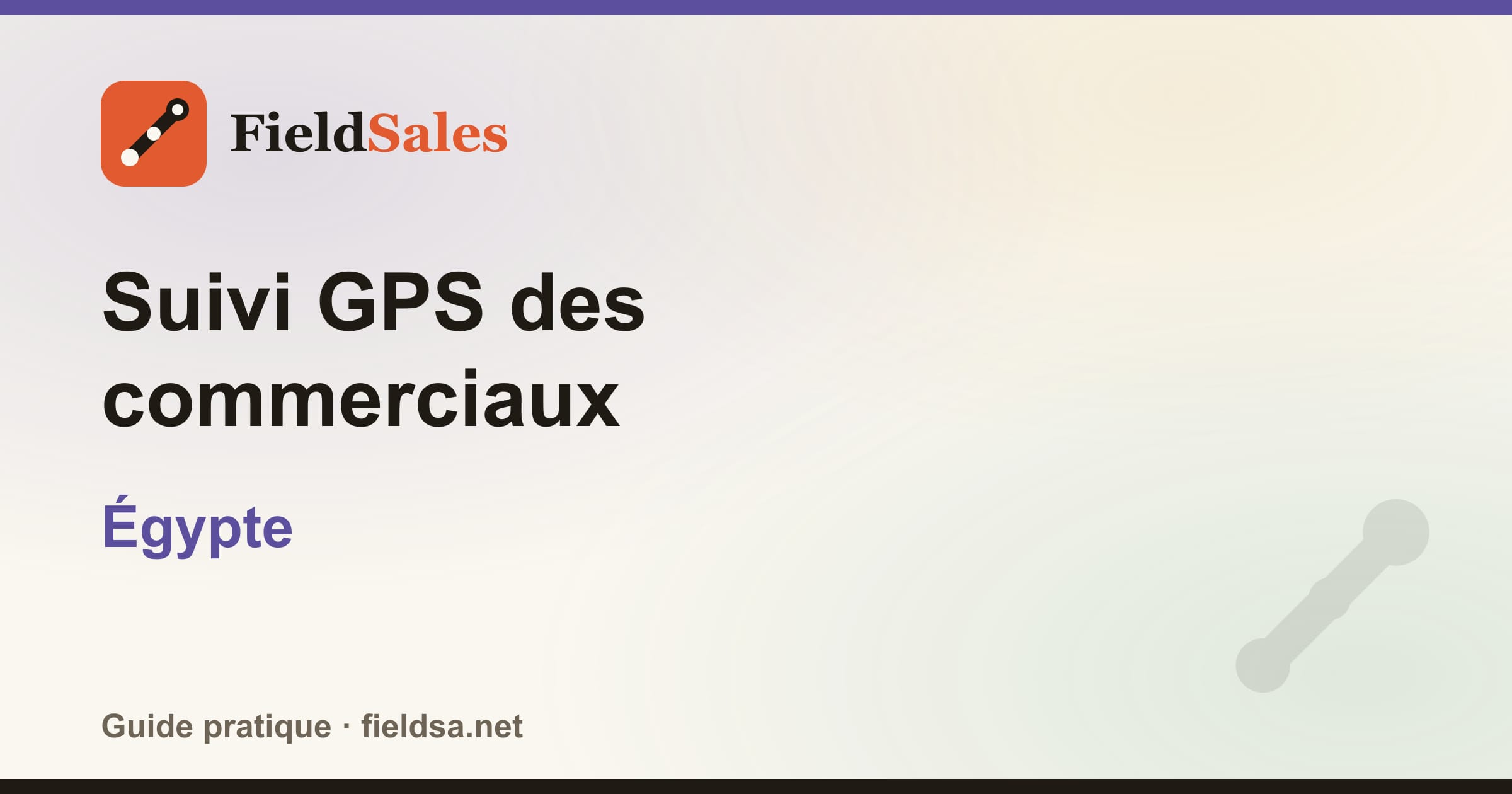 Suivi GPS des commerciaux en Égypte
