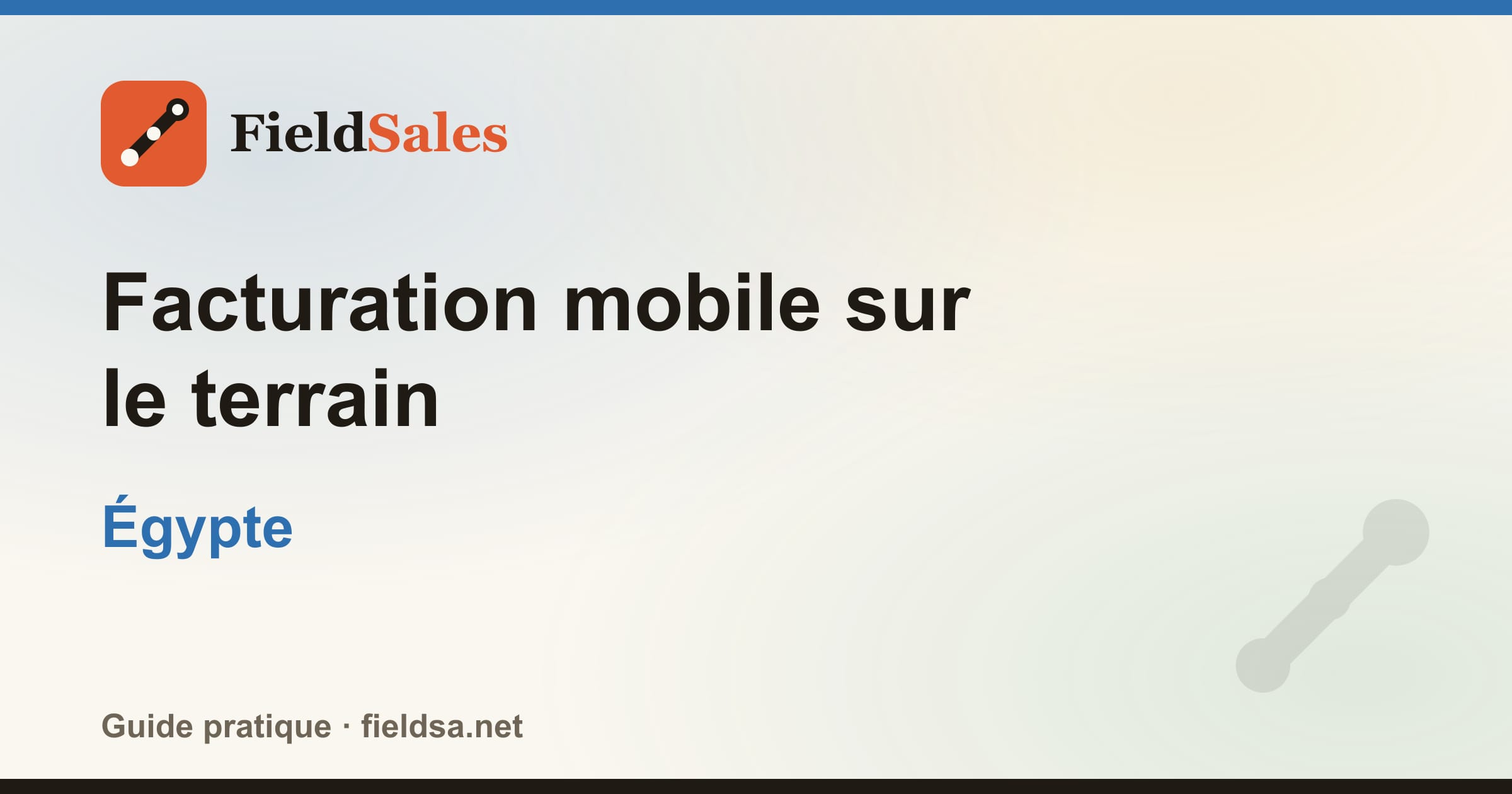 Facturation mobile sur le terrain en Égypte