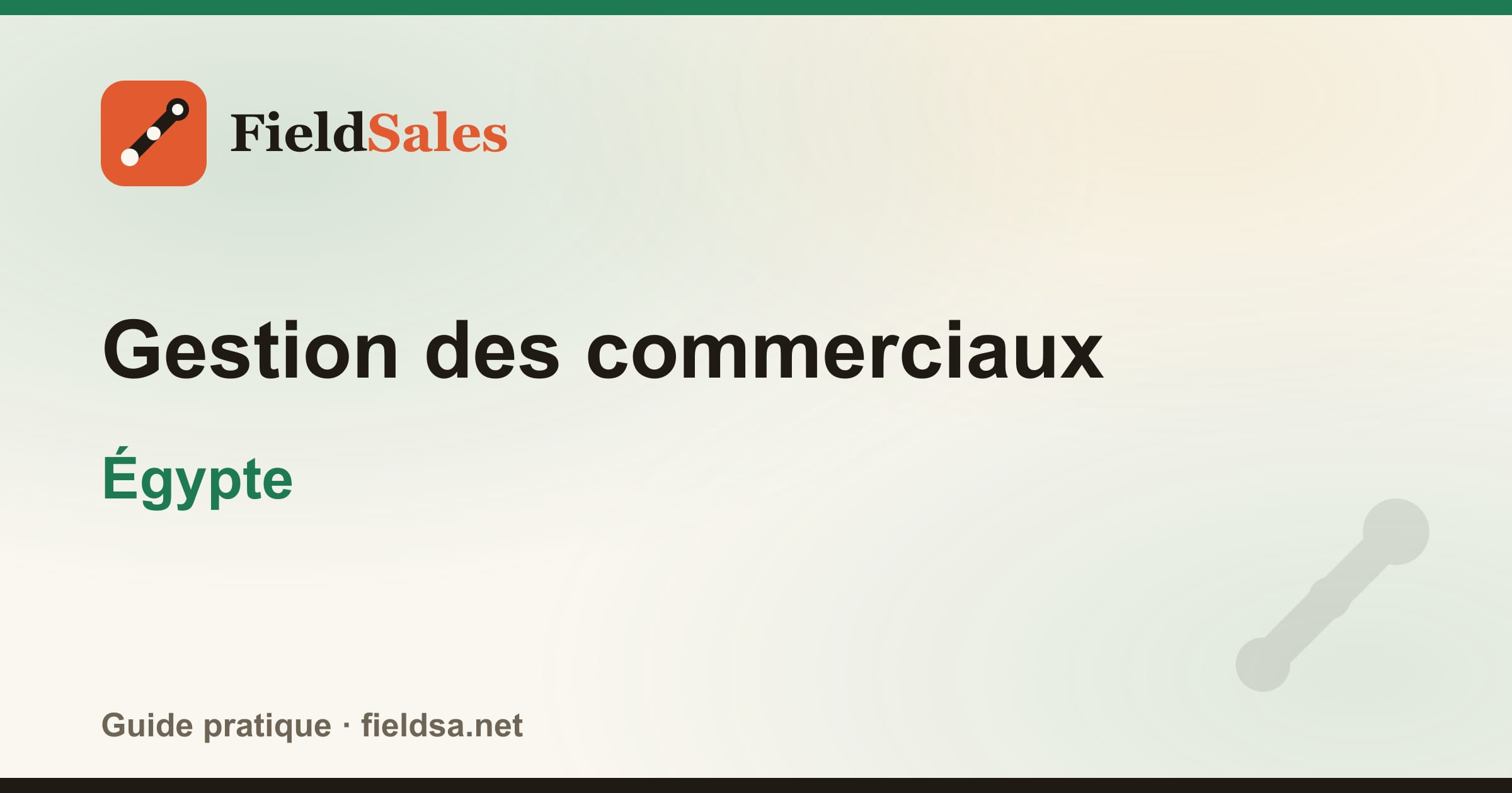 Gestion des commerciaux en Égypte