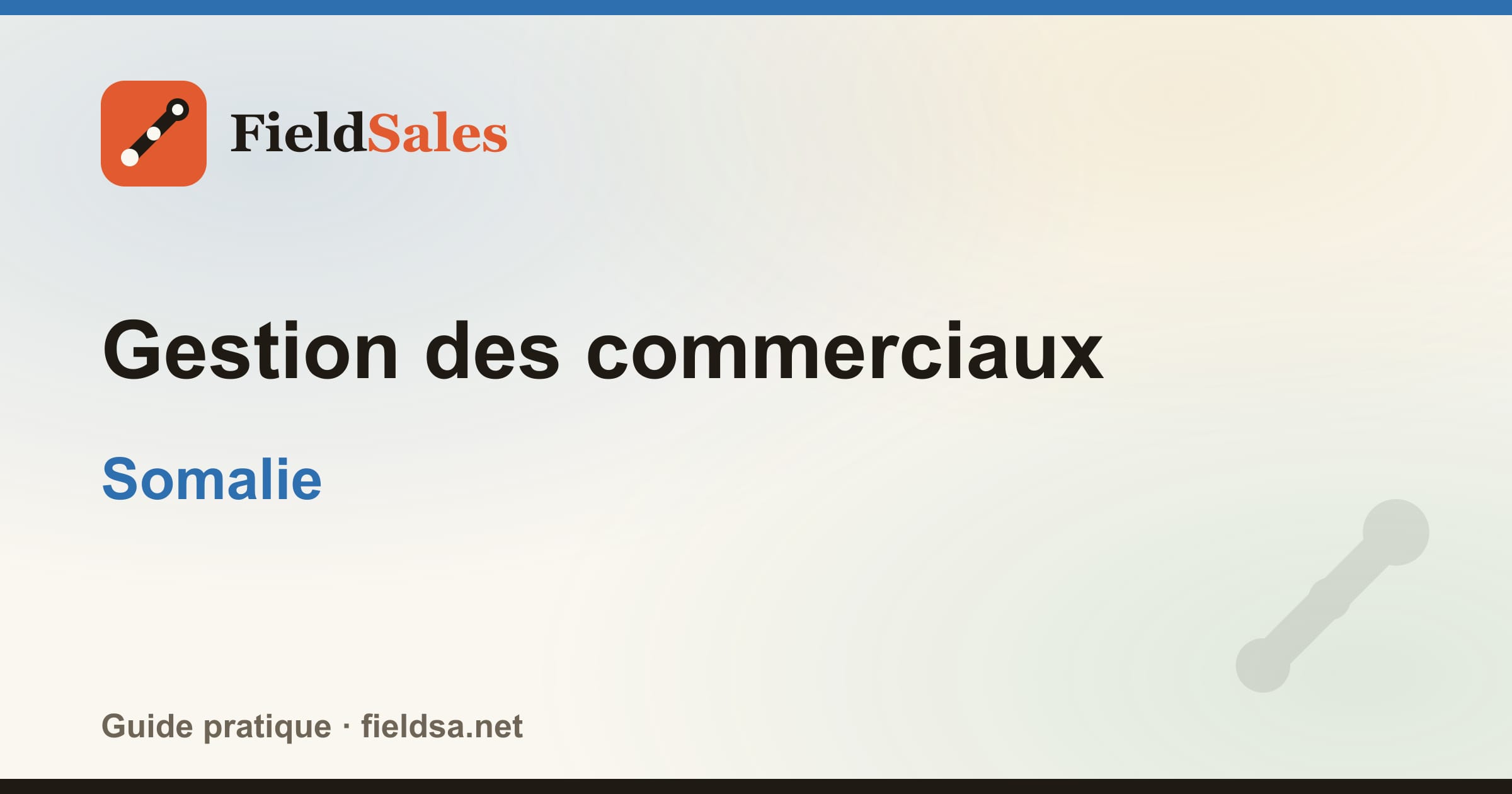 Gestion des commerciaux en Somalie