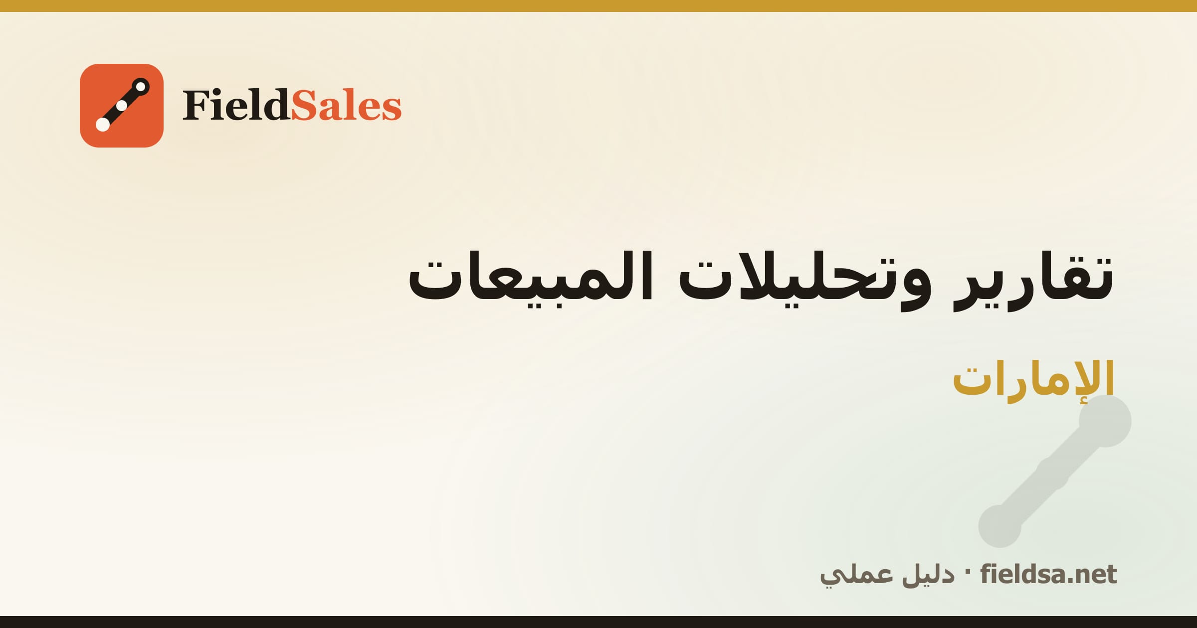 تقارير وتحليلات المبيعات في الإمارات