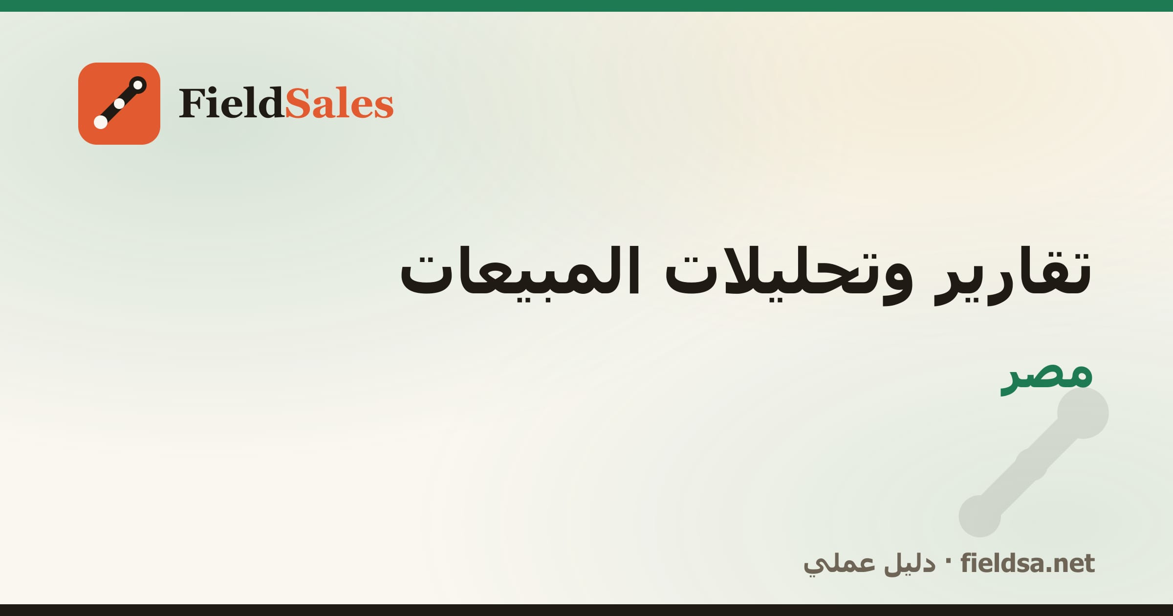 تقارير وتحليلات المبيعات في مصر