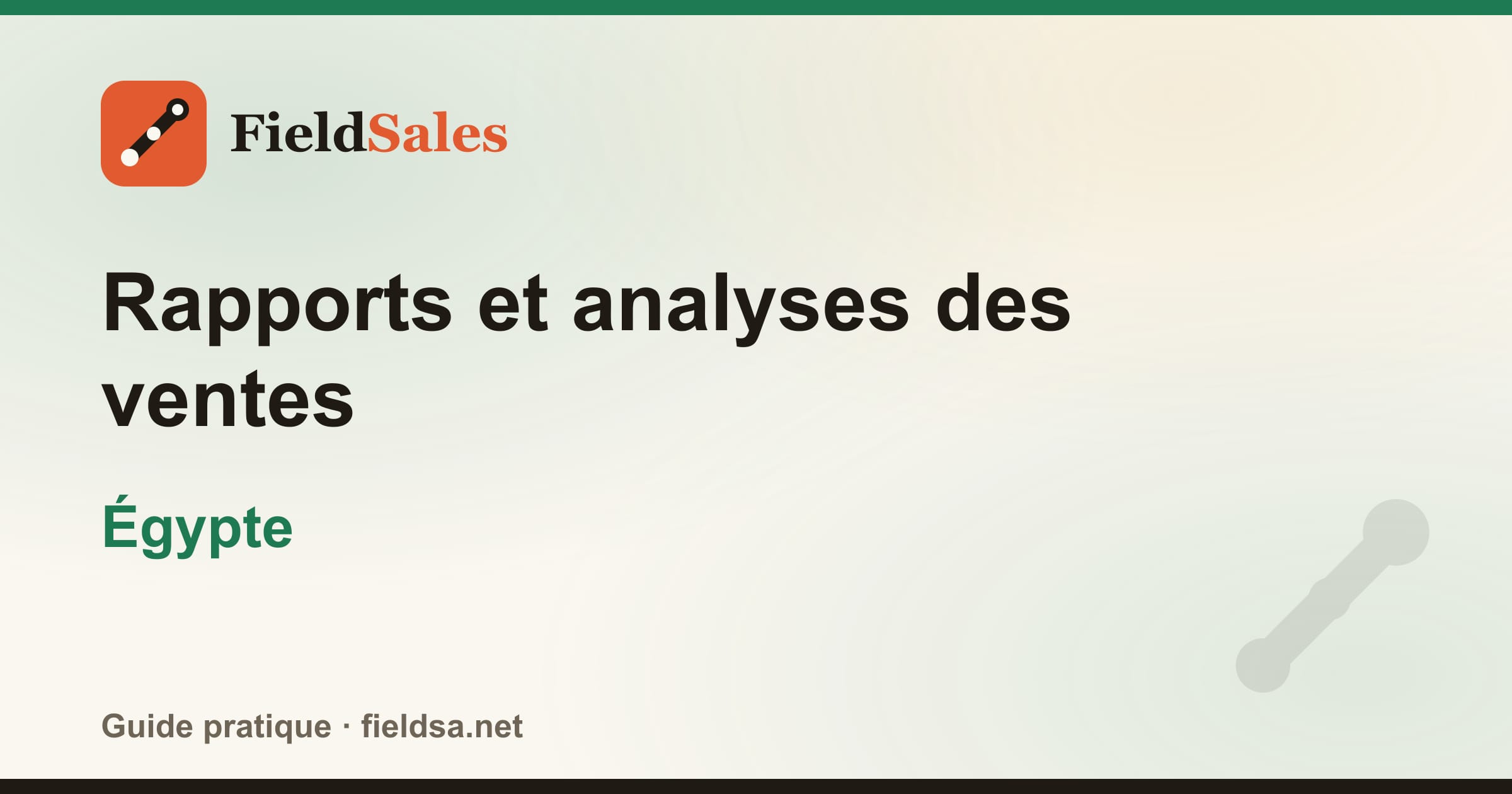 Rapports et analyses des ventes en Égypte