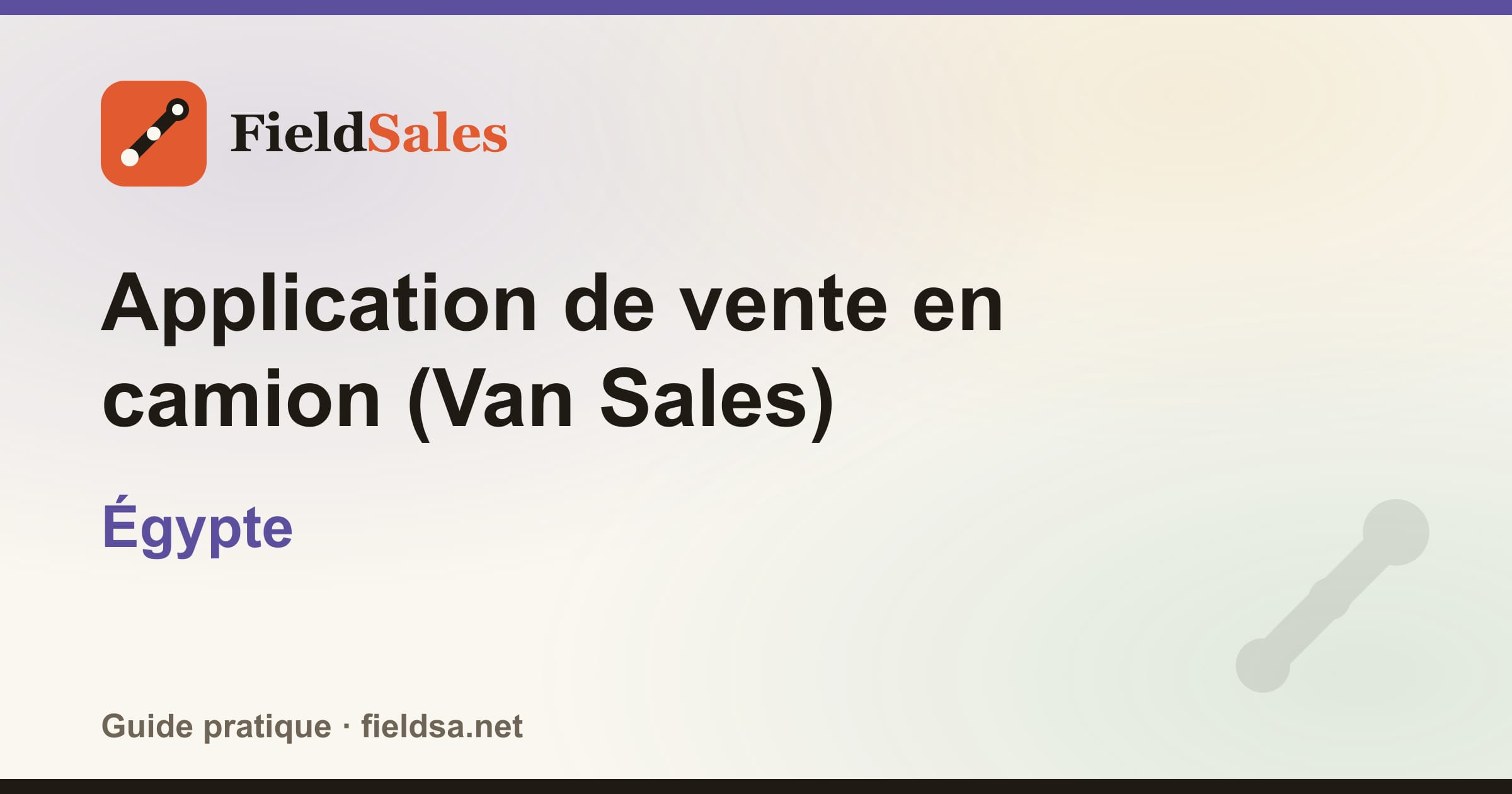 Application de vente en camion (Van Sales) en Égypte