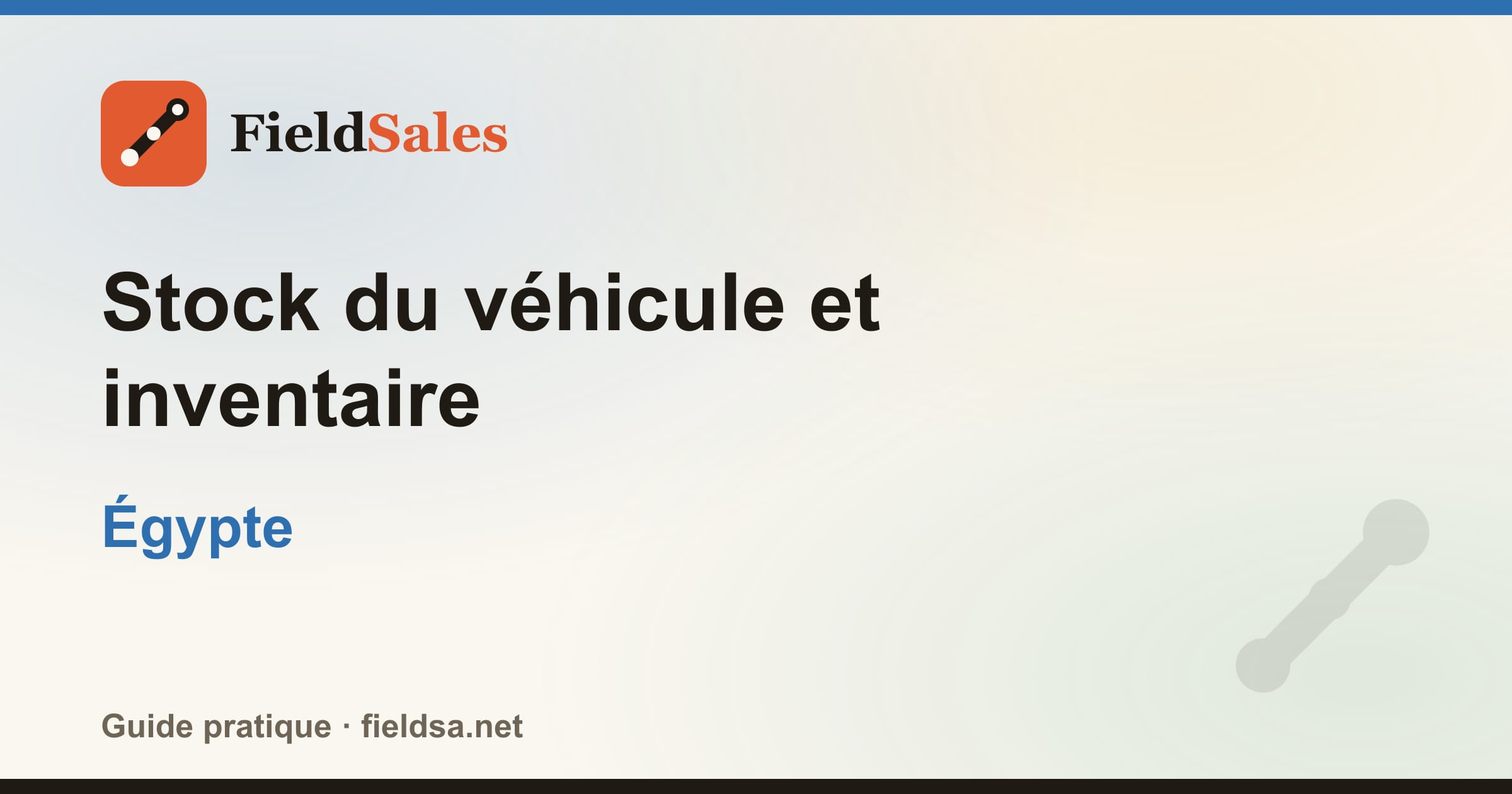 Stock du véhicule et inventaire en Égypte