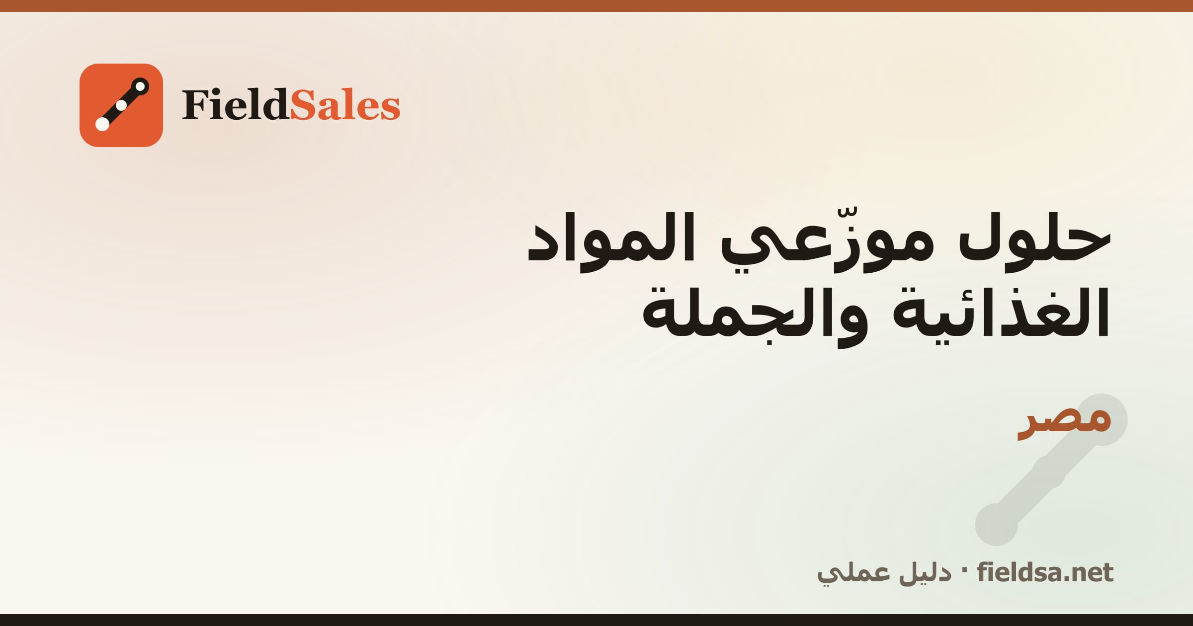 حلول موزّعي المواد الغذائية والجملة في مصر