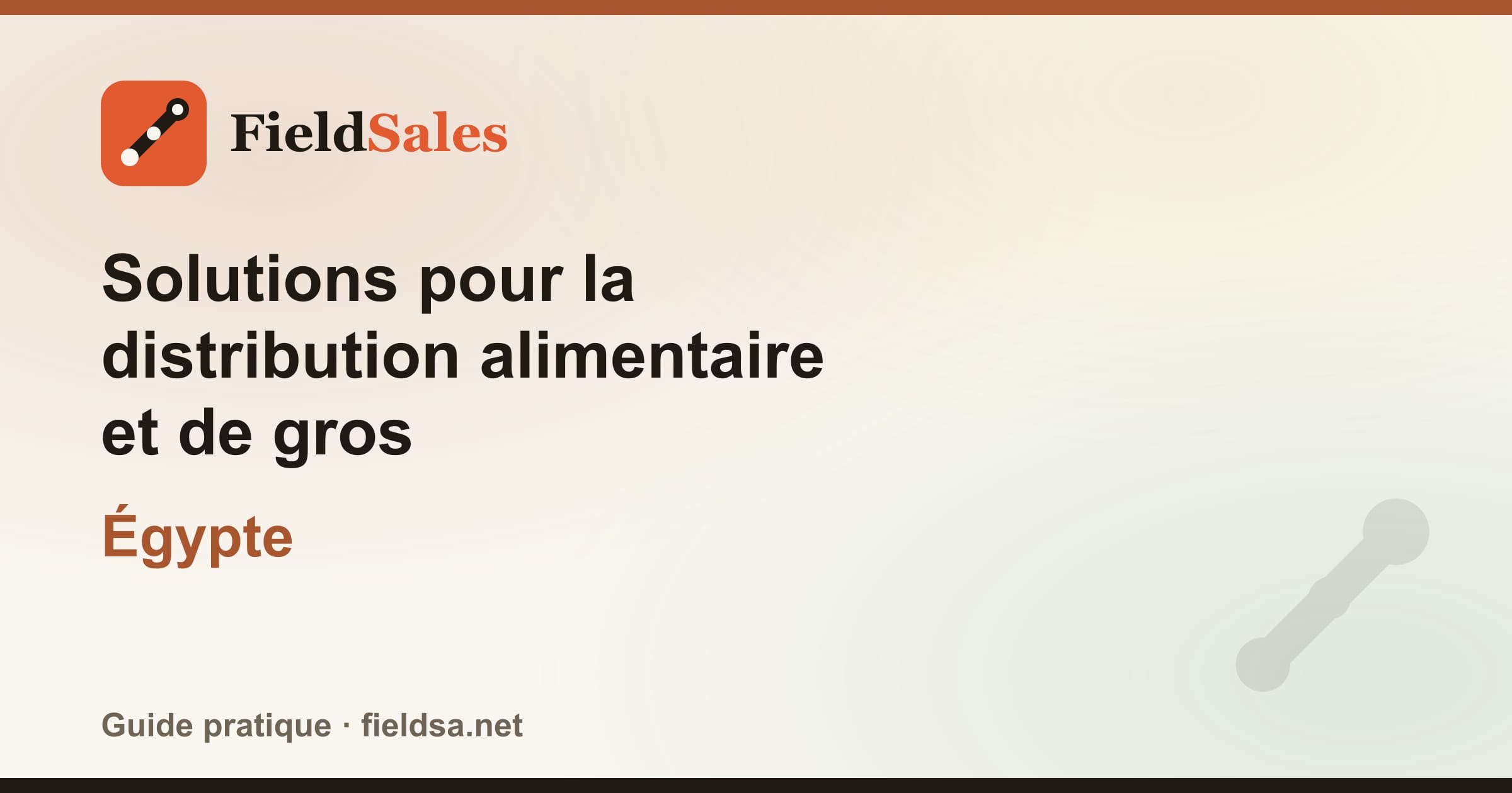 Solutions pour la distribution alimentaire et de gros en Égypte